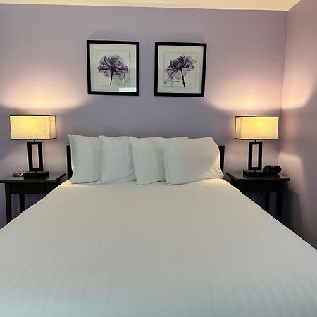 Dragonfly Guest House 奥甘奎特 外观 照片
