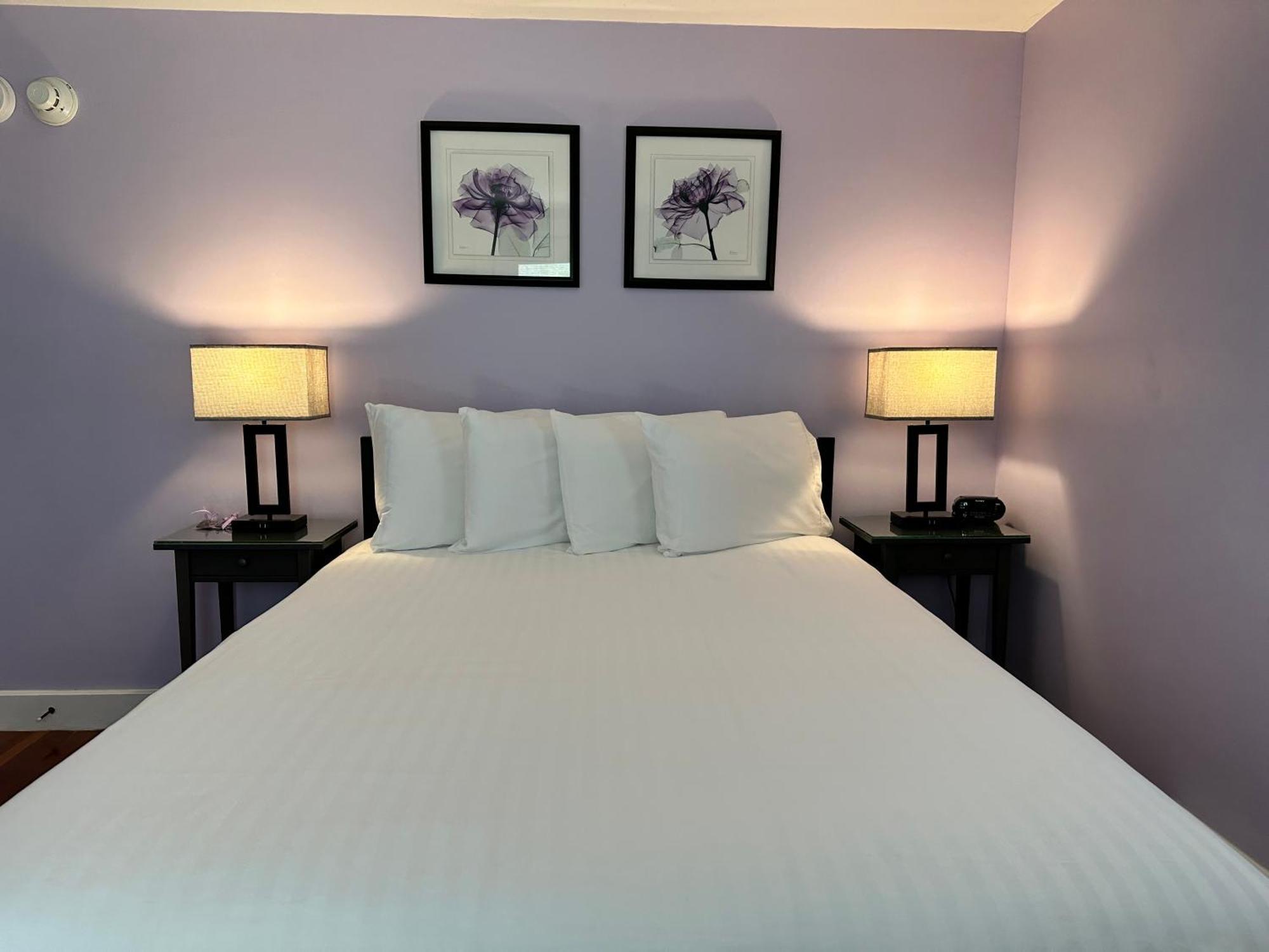Dragonfly Guest House 奥甘奎特 外观 照片